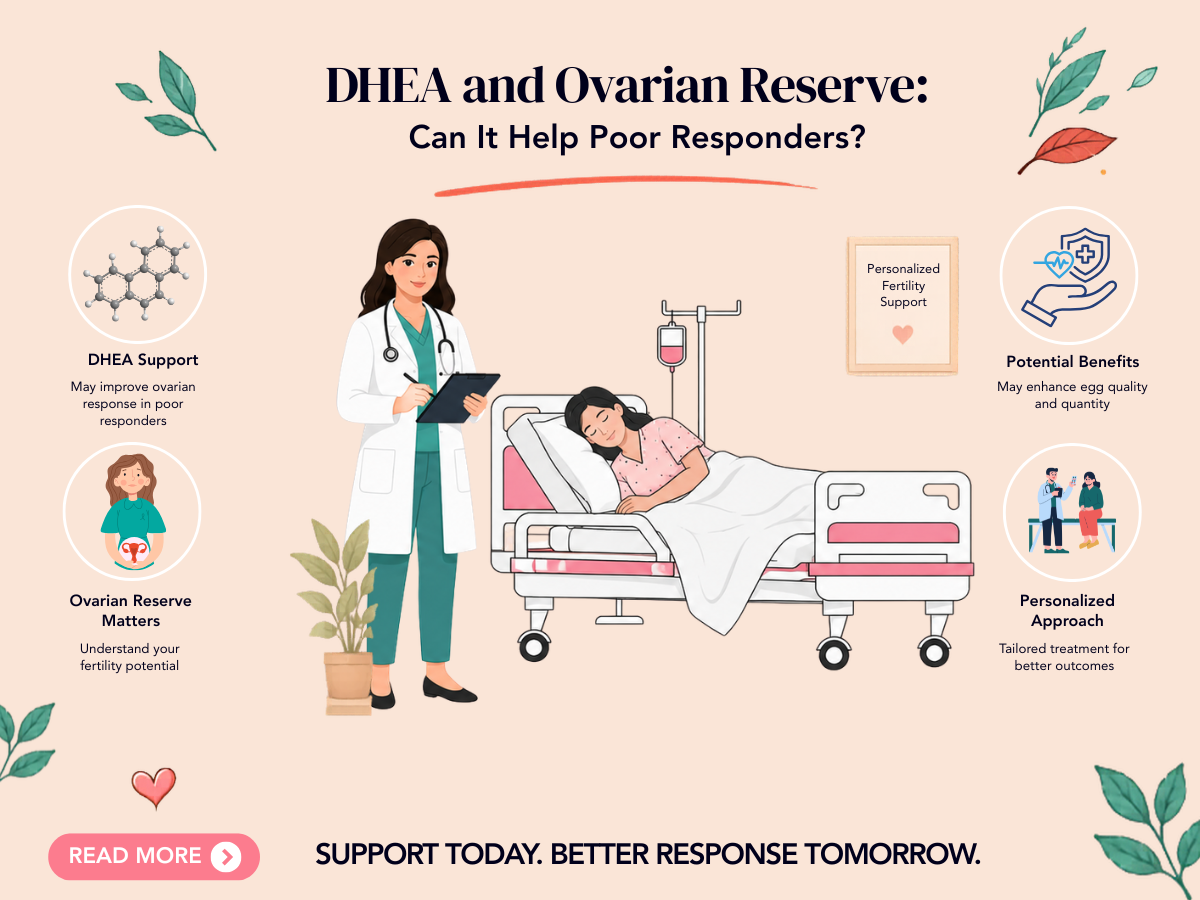 DHEA and Ovarian Reserve: Can It Help Poor Responders?